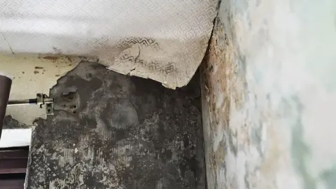 Nick Woolley/BBC Close-up of a damaged interior wall with severe mould and damp patches. The wallpaper is peeling away at the top corner, revealing dark, discolored areas underneath. The wall shows extensive staining and deterioration, with a metal curtain bracket partially visible on the left.