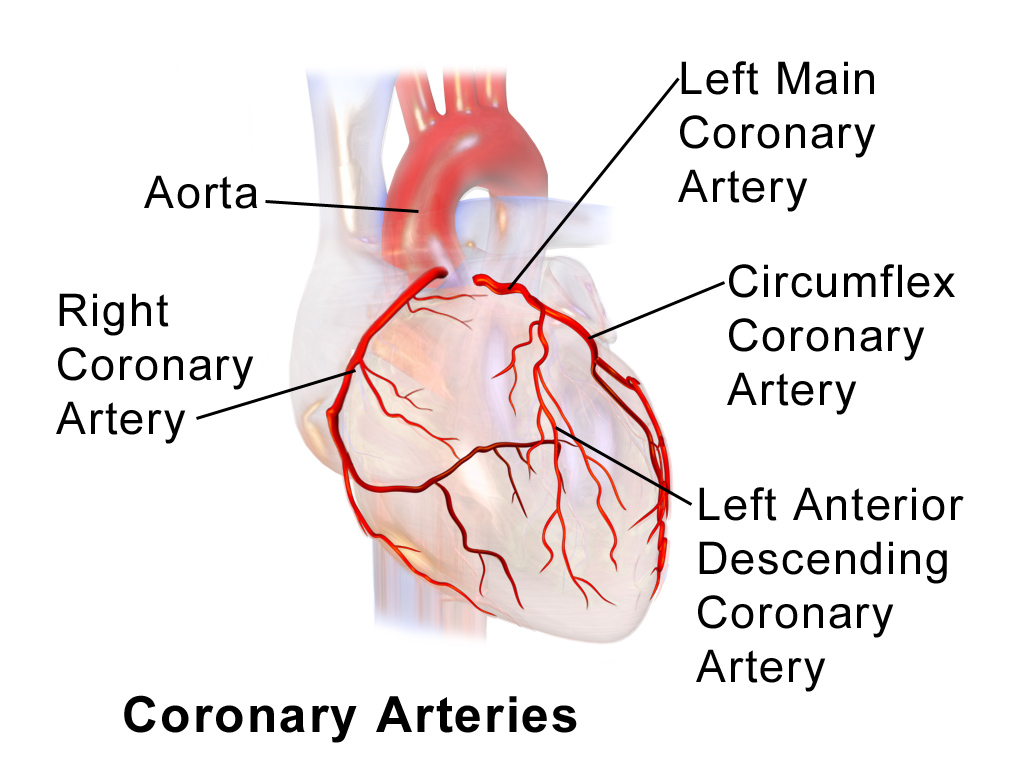 Coronary artery disease