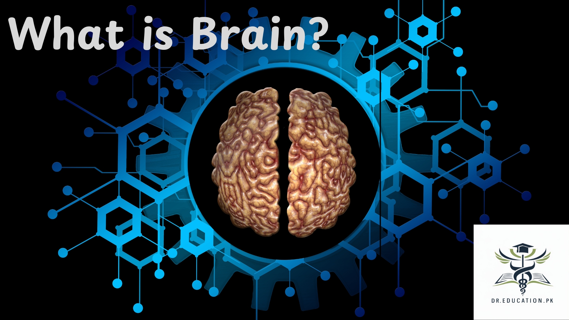 What is Brain?