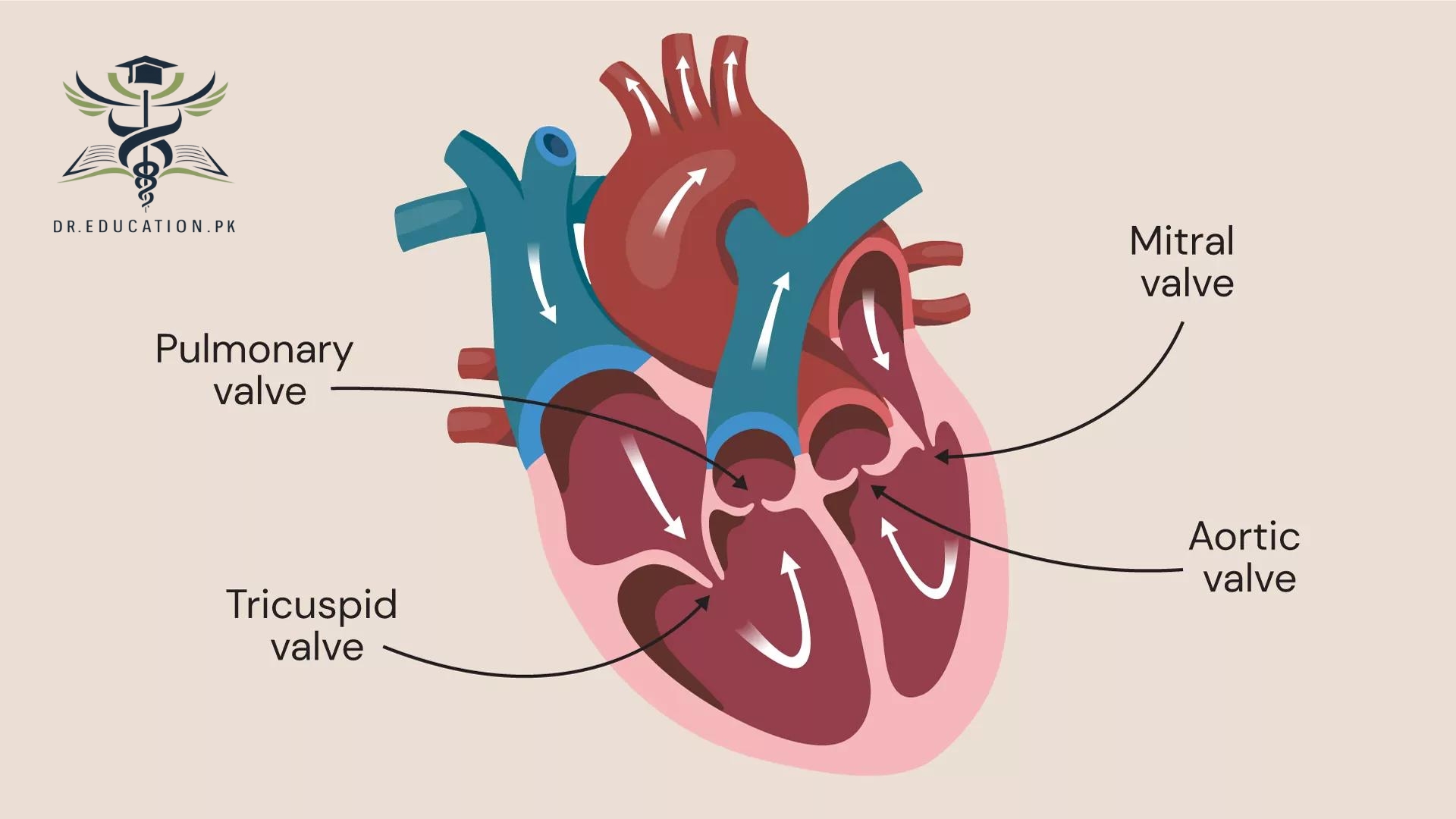 valvular heart disease