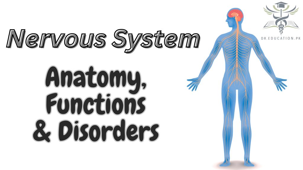 Nervous System