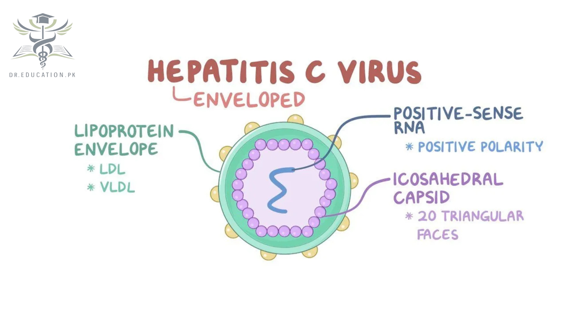 Hepatitis-C