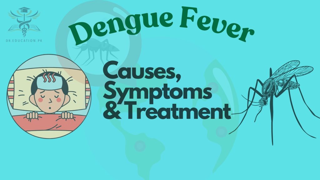 Dengue Fever