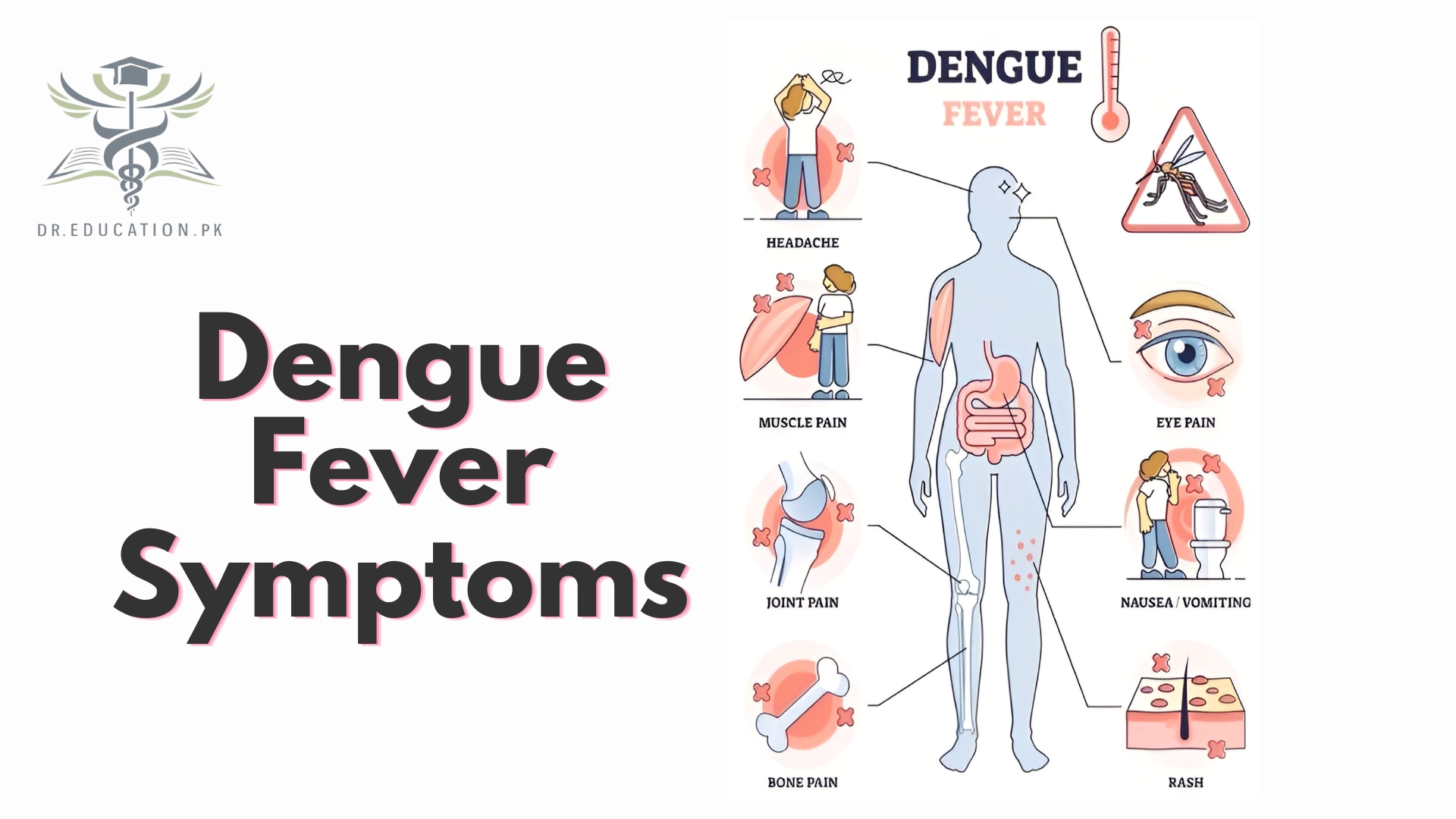 Dengue Fever
