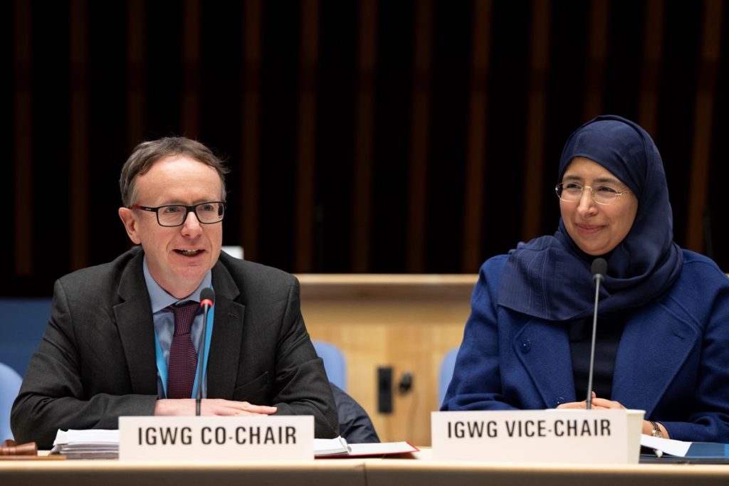 co-chair-and-vice-chair-of-igwg-at-fourth-meeting.tmb-1200v.jpg