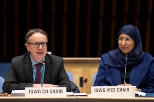 co-chair-and-vice-chair-of-igwg-at-fourth-meeting.tmb-1200v.jpg