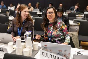world-health-assembly-delegates-2026.tmb-1200v.jpg