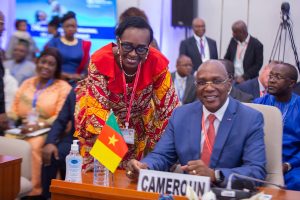 delegates-at-the-seventy-fourth-who-regional-committee-for-africa.tmb-1200v.jpg